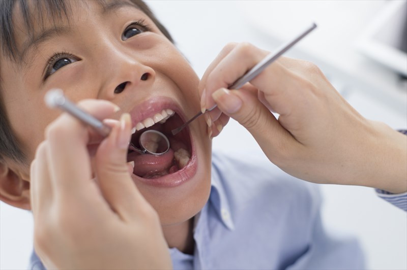 南浦和のホワイトニング･白いくま歯科の口コミ情報